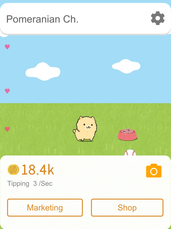 博美犬频道_影响力的狗狗