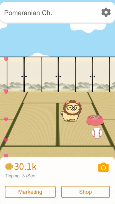 博美犬频道_影响力的狗狗