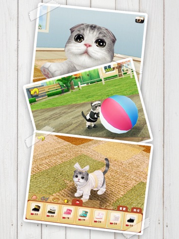 心动小猫 - 可爱宠物养成游戏