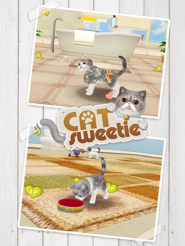 心动小猫 - 可爱宠物养成游戏