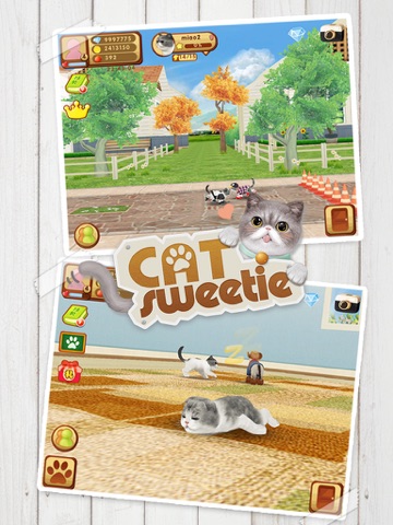 心动小猫 - 可爱宠物养成游戏