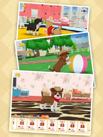 心动小狗：伙伴 - 天天欢乐养宠物