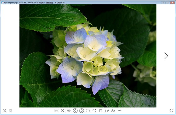 鲨鱼看图官方下载v1.0.0.70 最新版