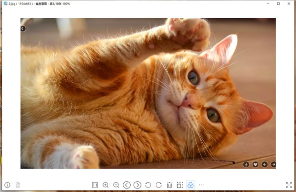 鲨鱼看图官方下载v1.0.0.70 最新版
