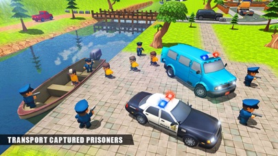 美国刑事运输