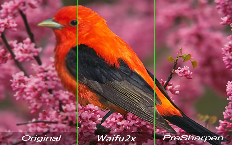 超级清晰SuperPhotoUpscaler