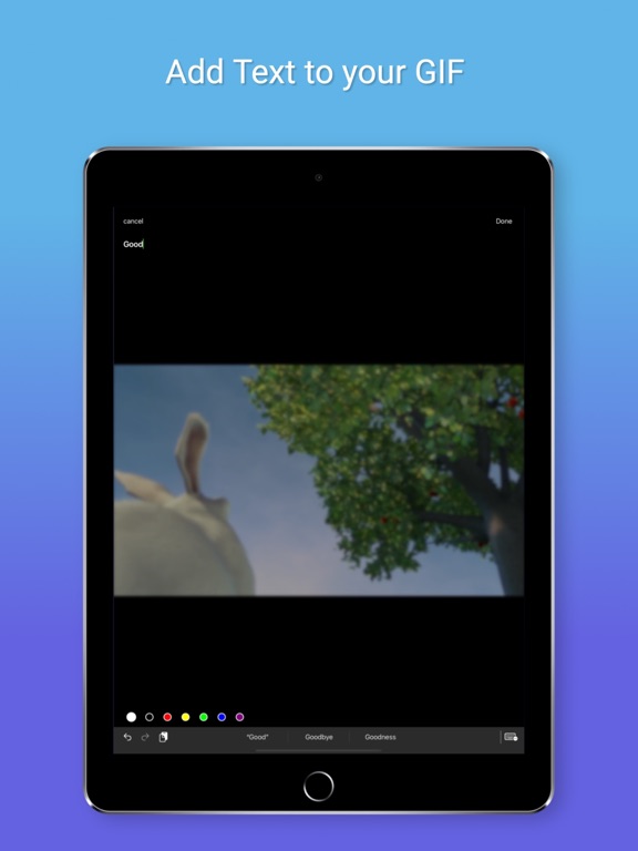 Capture_Gif动图制作表情包制作