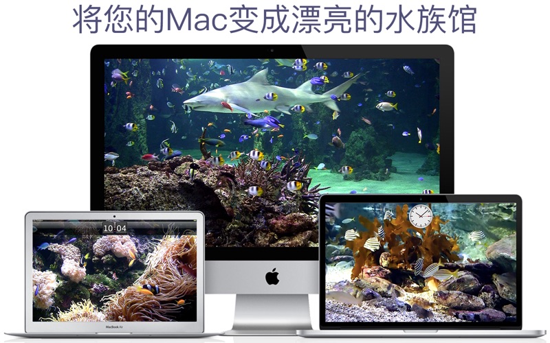 水族馆HD海洋屏保