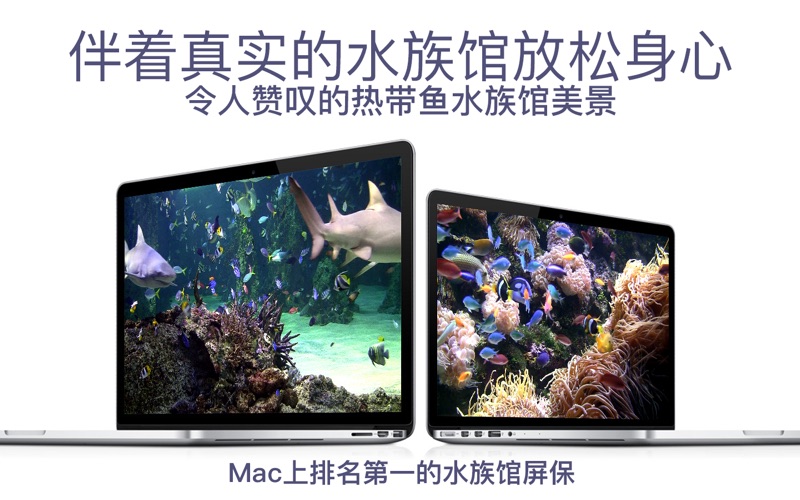 水族馆HD海洋屏保