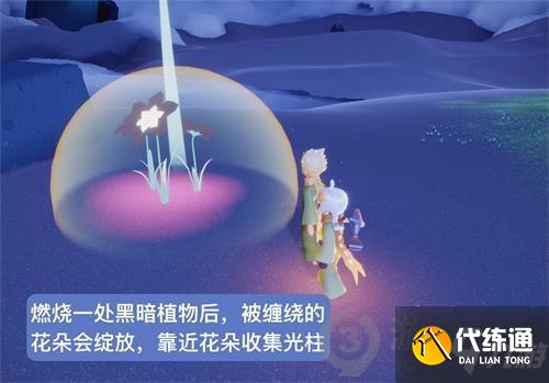 光遇小王子季第四个任务怎么做