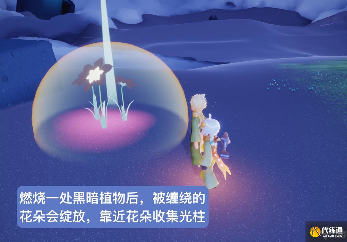 《光遇》小王子季第四个任务攻略