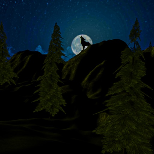 森林生存的最后一天 3D