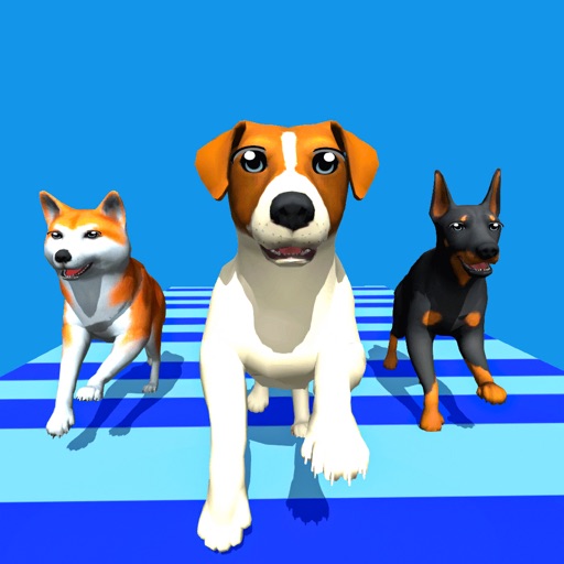 DogRunRacer_趣味竞速3D