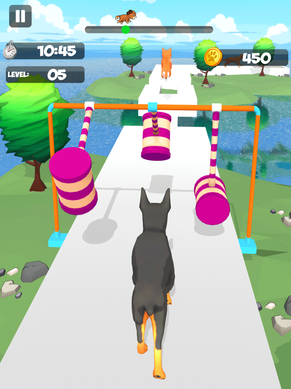 DogRunRacer_趣味竞速3D