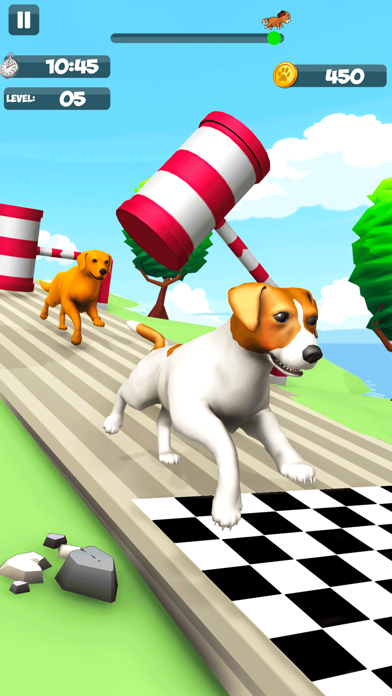 DogRunRacer_趣味竞速3D