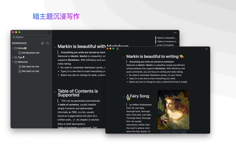 Markin_Markdown高效写作与记录