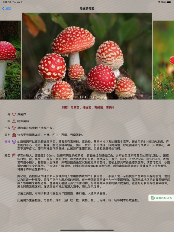 毒蘑菇大百科 - 专业图鉴版
