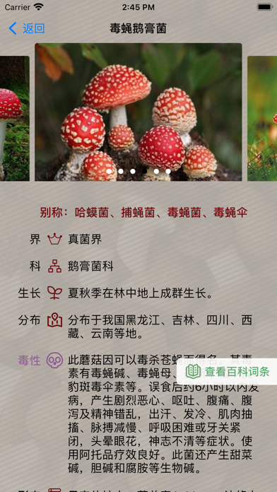 毒蘑菇大百科 - 专业图鉴版