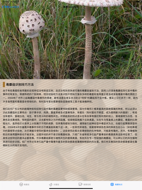 毒蘑菇大百科 - 专业图鉴版
