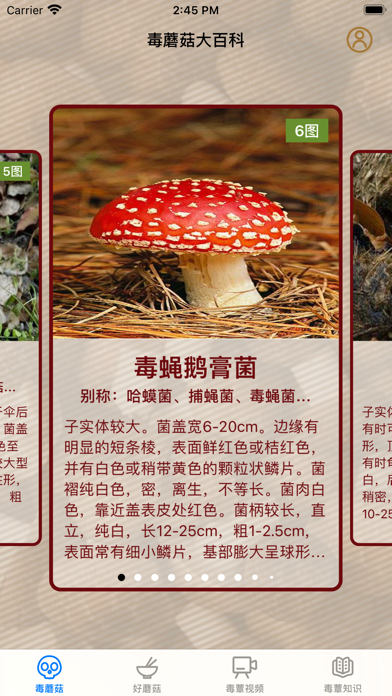 毒蘑菇大百科 - 专业图鉴版