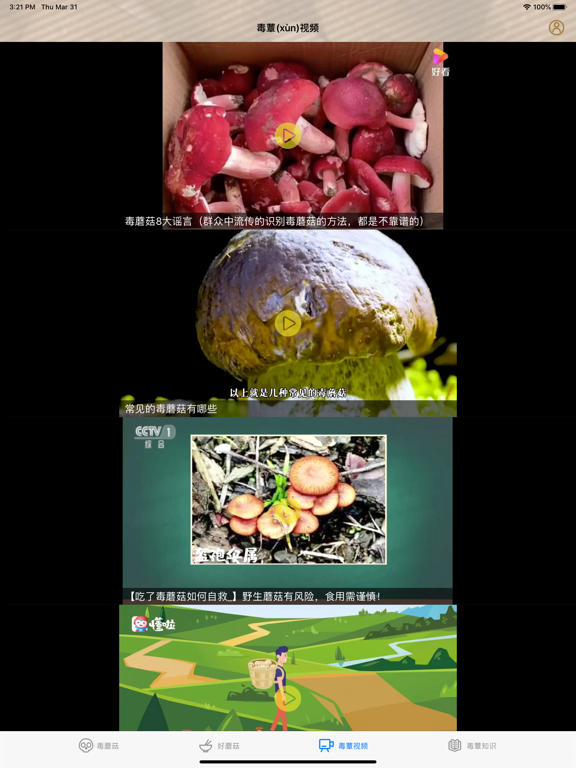 毒蘑菇大百科 - 专业图鉴版