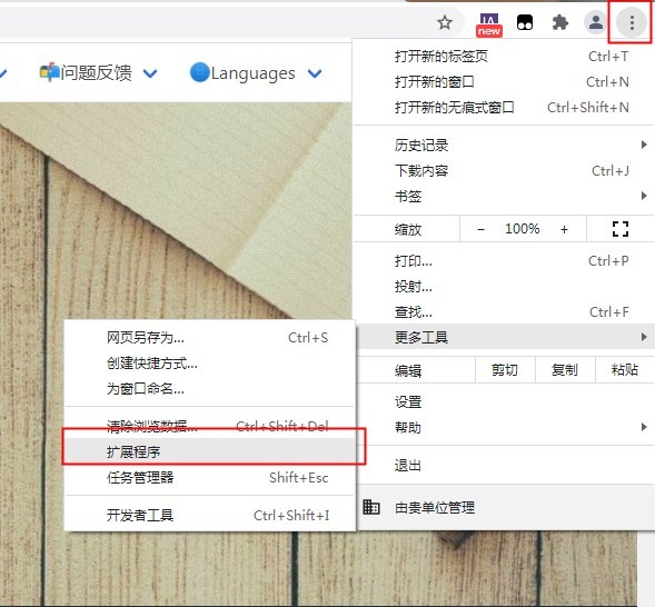 saladict插件下载
