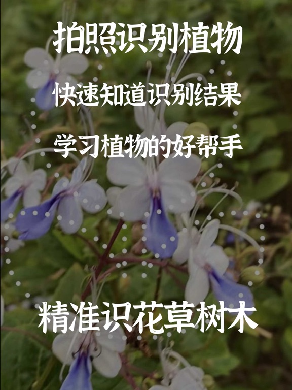拍照识别植物-精准识花草虫鸟树木