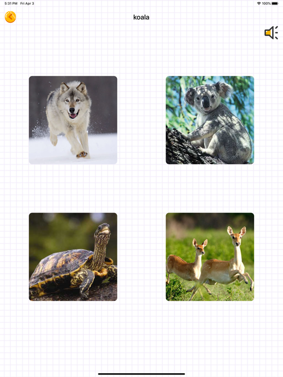 英语启蒙-少儿童学英语单词卡小朋友早教