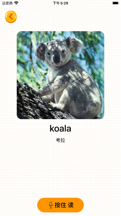 英语启蒙-少儿童学英语单词卡小朋友早教