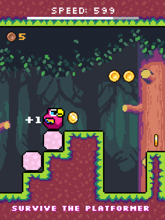 Bird Pixel: 像素鸟