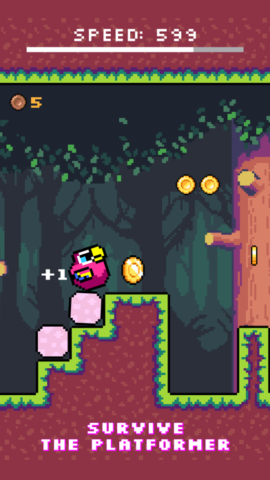 Bird Pixel: 像素鸟