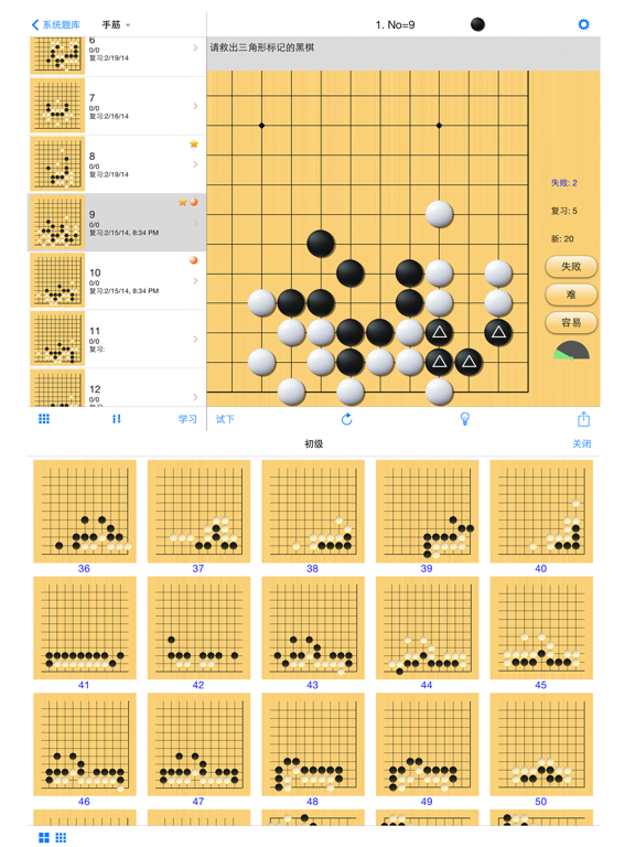 围棋大师