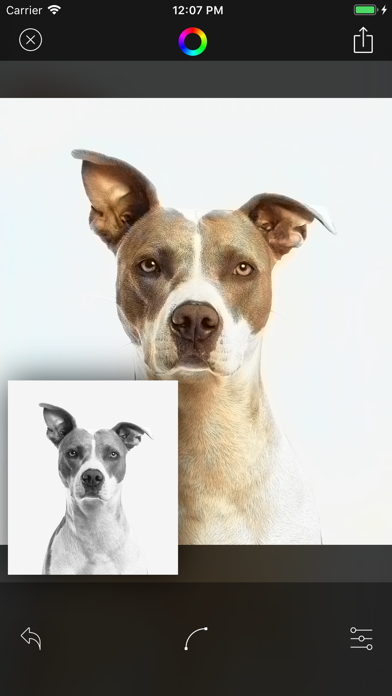 Deep Color - 使用AI自动颜色