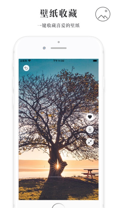 壁纸坊 - 壁纸大全