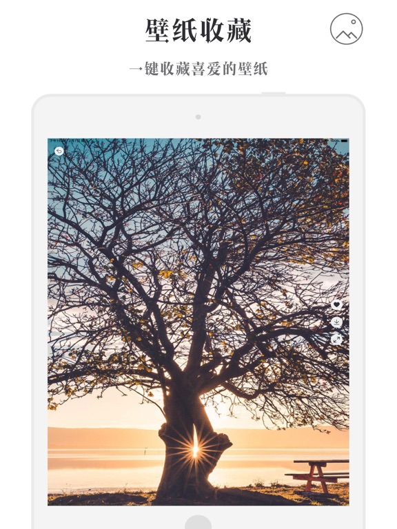 壁纸坊 - 壁纸大全