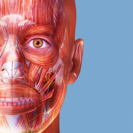 肌肉与运动机能学