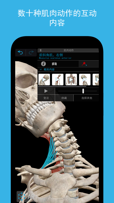 肌肉与运动机能学