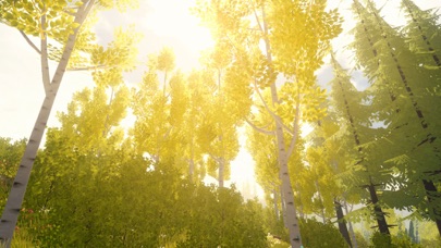 Wilderless 流浪荒野