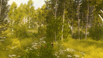 Wilderless 流浪荒野