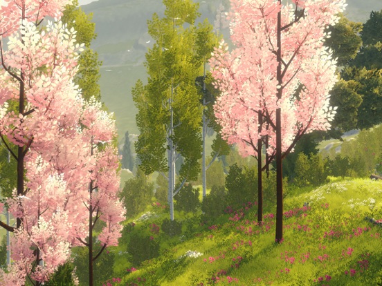 Wilderless 流浪荒野