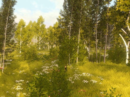 Wilderless 流浪荒野