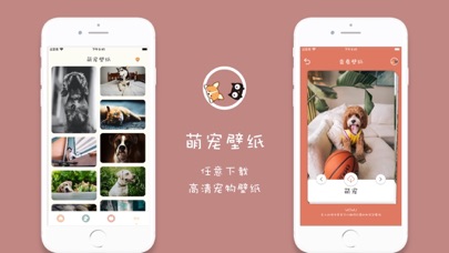 Wowu-宠物翻译器