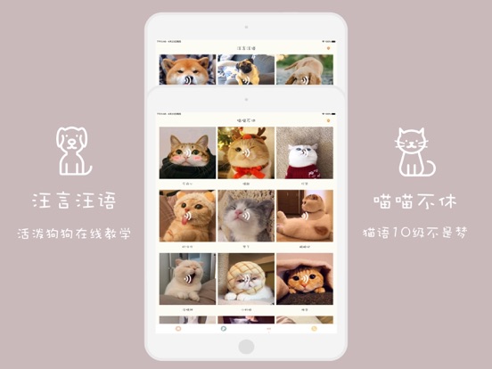 Wowu-宠物翻译器