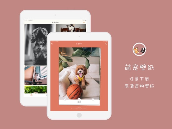 Wowu-宠物翻译器