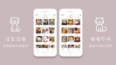 Wowu-宠物翻译器