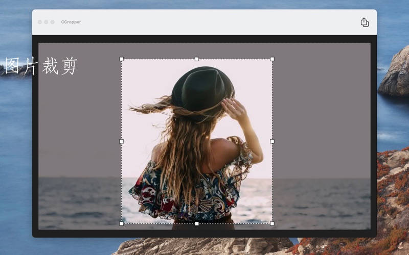 CCropper_裁剪大师