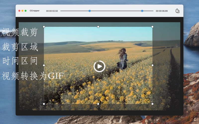 CCropper_裁剪大师