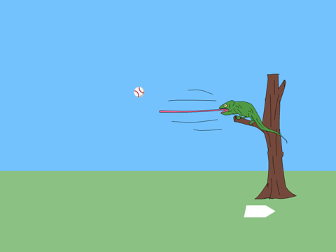 奇怪的击球练习场