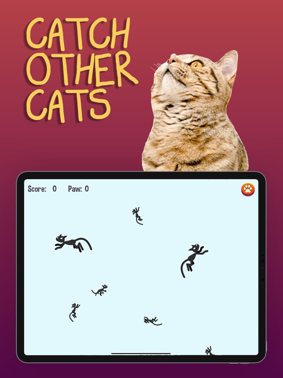 猫游戏
