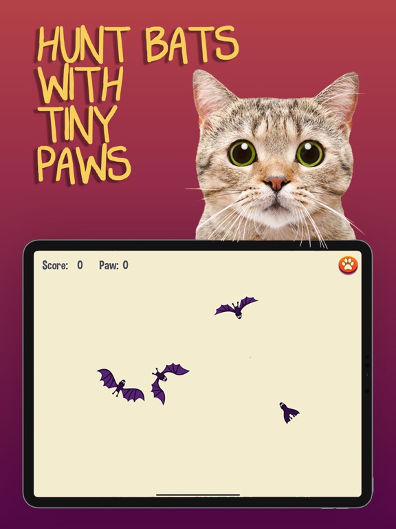 猫游戏